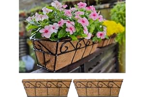 Maxona Wall Hanging Planter for Outdoor Plants (2 Pack) 16” Wall Hanging Baskets with Coco Liner for Plant Holder Black Wire 