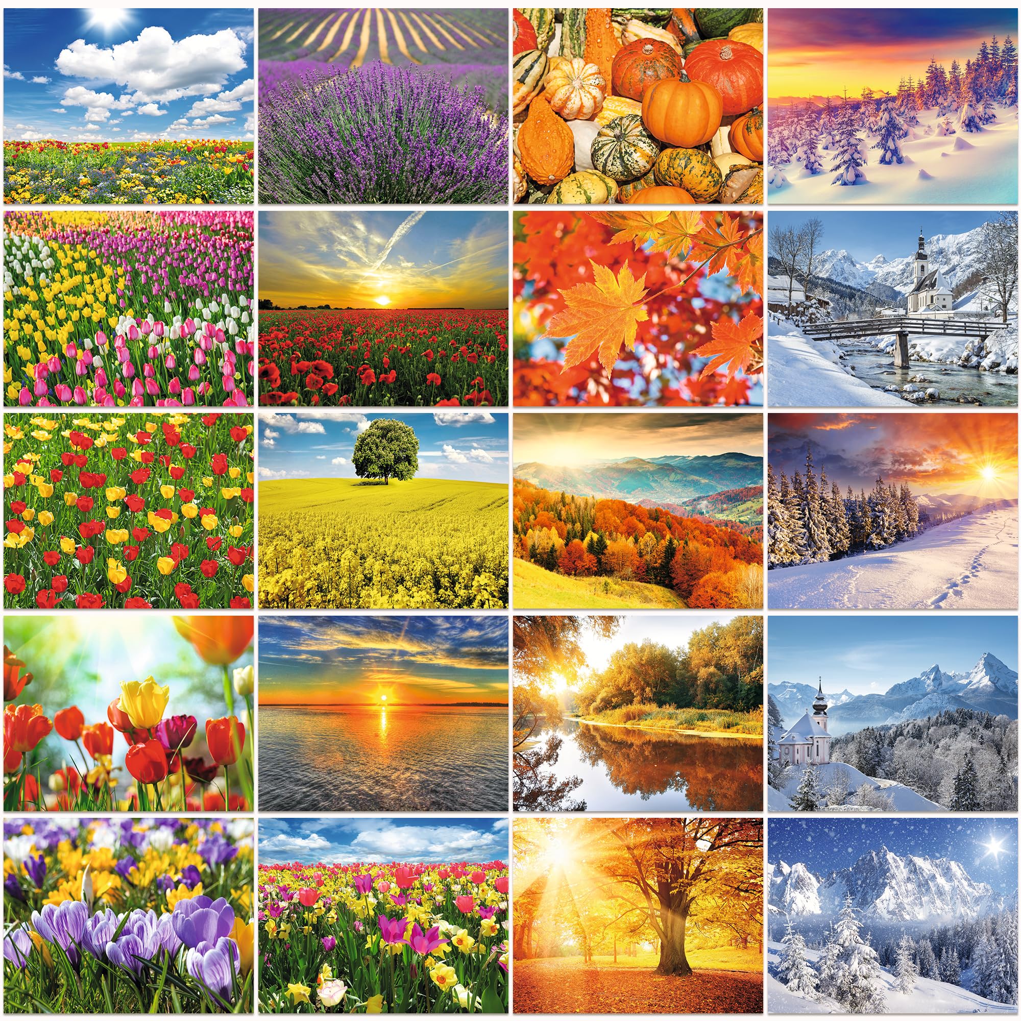 Edition Colibri Postcard Set: 20 Greeting Cards with Landscape Motifs from Four Seasons, A6 Size, Carbon-Neutral Print, Made in Germany