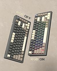 Womier Keycaps, Custom PBT Doubleshot Keycaps 60 65