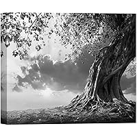 SIGNWIN Canvas Wall Art Winter Snow Covered Birch Trees on The Hillside Nature Forest Modern Art Traditional Scenic Dramatic Black and White for Living Room, Bedroom, Office - 12x18 inches