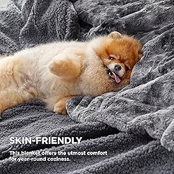 Bedsure GentleSoft Sherpa Fluffy Throw Blanket