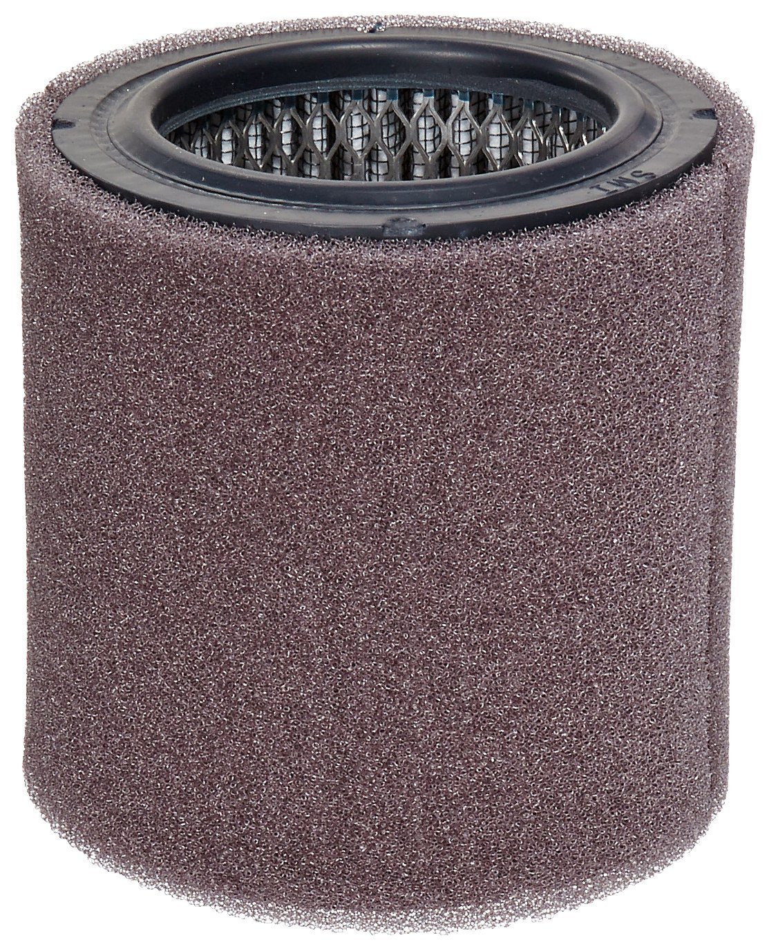 Solberg 19P™ Polyester Filter Cartridge with
