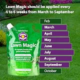Flower Power Richard Jackson Premium Lawn Magic Liquid Lawn Feed 1.5L view 3