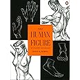 The Human Figure: An Anatomy for Artists