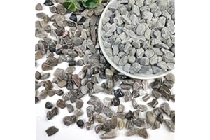 SHIZWU 2lbs Pea Gravel for Plants, 1/2inch Small Pebbles for Succulent Cactus Plants, Natural Polished Stones, River Rocks for Plants, Vases, Aquariums, Gardening, Grey