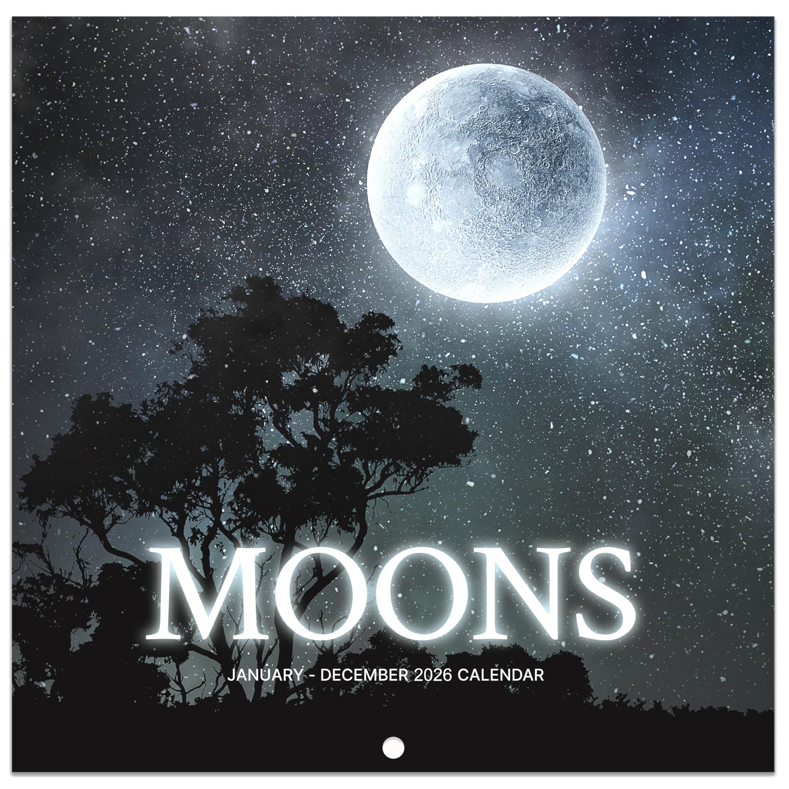 Photo 1 of 2026 Wall Calendar - Calendar 2026, January 2026 - December 2026, 12'' × 24''(Open), 2026 Calendar with Moon Phases, Hanging Holes, Large Blocks, Perfect for Organizing & Planning
