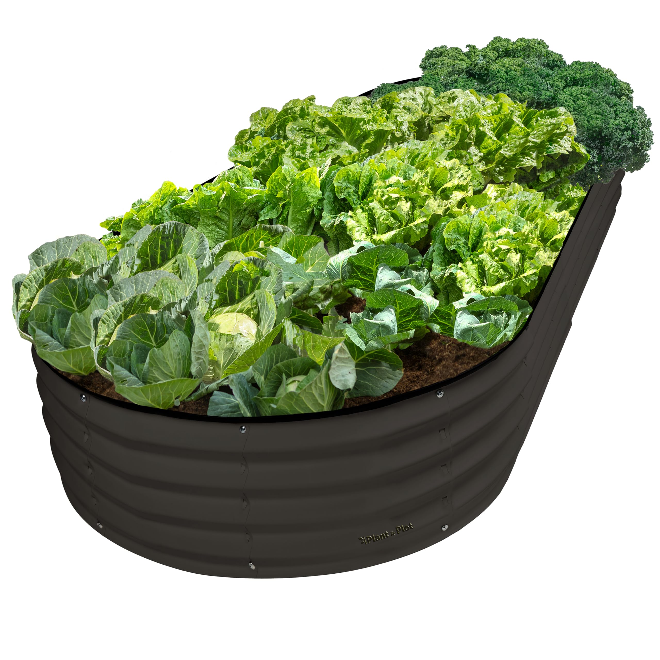 Plant & Plot Galvanized Raised Garden Beds Outdoor // 8×4×1 ft Planter Raised Beds for Gardening, Vegetables, Flowers // Large Metal Garden Box // Patented Tool-Free Design (Black) Image