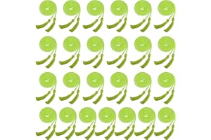 Haconba 25 Pieces Graduation Honor Cord Rayon Braided Honor Cords with Tassel for Graduation Students Bachelor Master Doctoral Gown Grad Decor (Light Green)