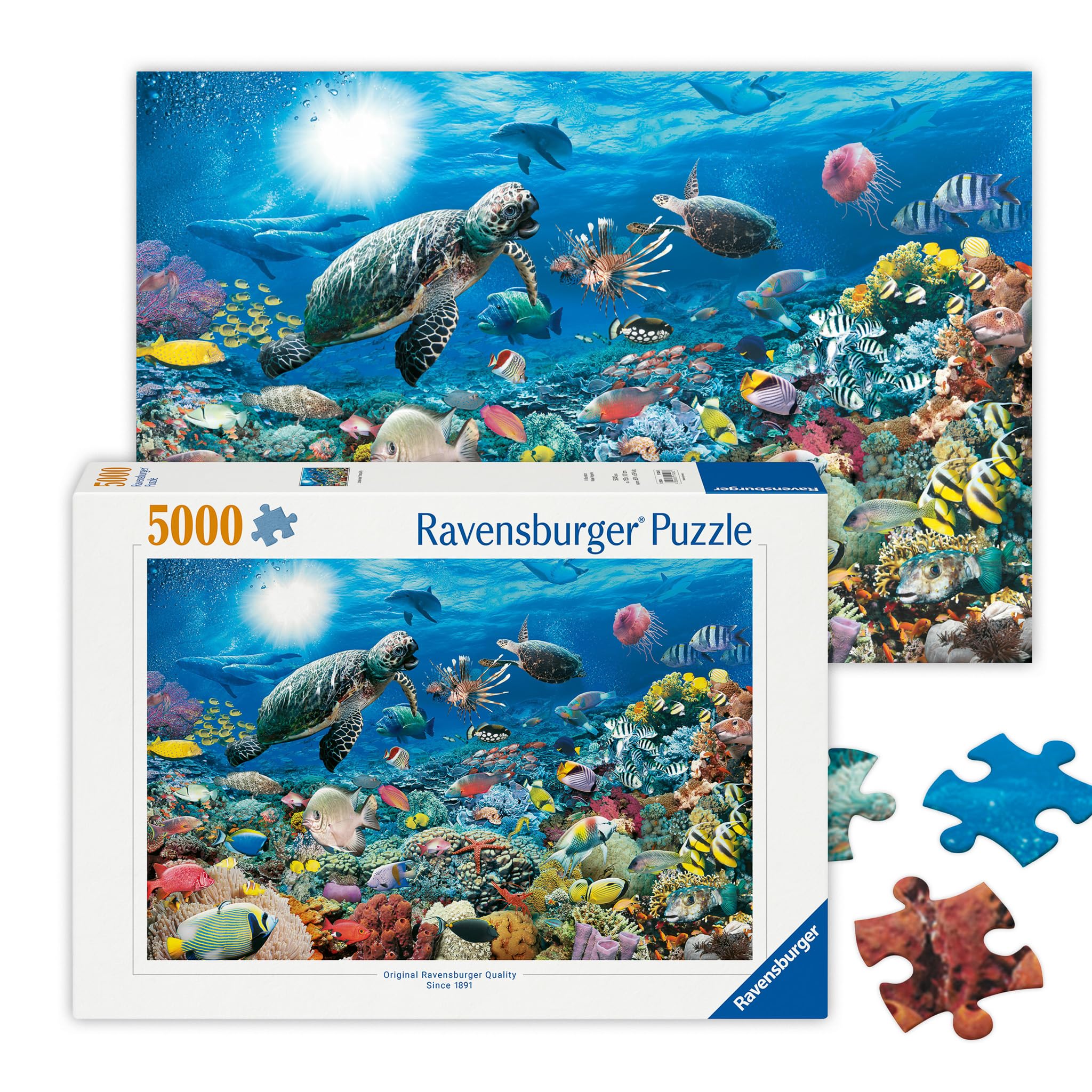 Ravensburger - Debajo del mar - Rompecabezas de 5000 piezas - Imágenes impresionantes - Hermosas e intrincadas - Tortugas submarinas, delfines y más - Calidad premium - Rompecabezas para adultos