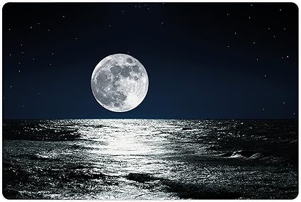 Amazon Com Ambesonne Moon Pet Mat For Food And Water Big Moon And Its Reflection On The Sea Open Sky Ethereal Drawing Style Rectangle Non Slip Rubber Mat For Dogs And Cats Dark