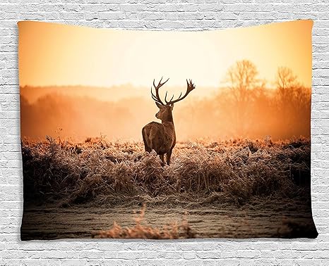 Amazon Co Jp Bigleader狩猟タペストリー 朝の太陽の荒野のレッドディア自然の風景田舎の田舎のヘザー創造的な家の装飾壁掛けタペストリー150x0cm ホーム キッチン