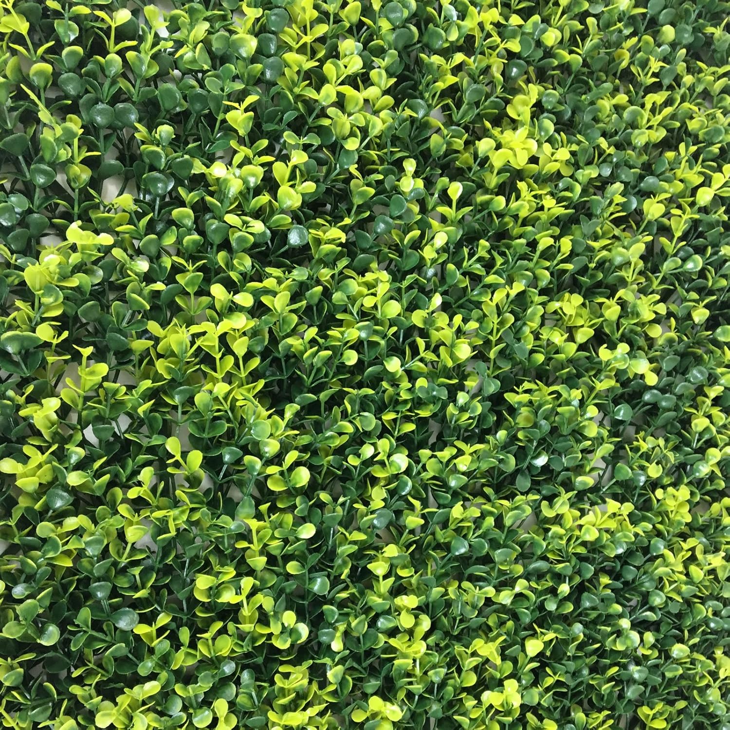 Siepe artificiali Siepe artificiali