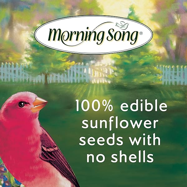 MORNING SONG SUNFLOWER HEARTS & CHIPS WILD BIRD FOOD, NO MESS SUNFLOWER SEEDS FOR BIRDS, 5.5-POUND BAG
