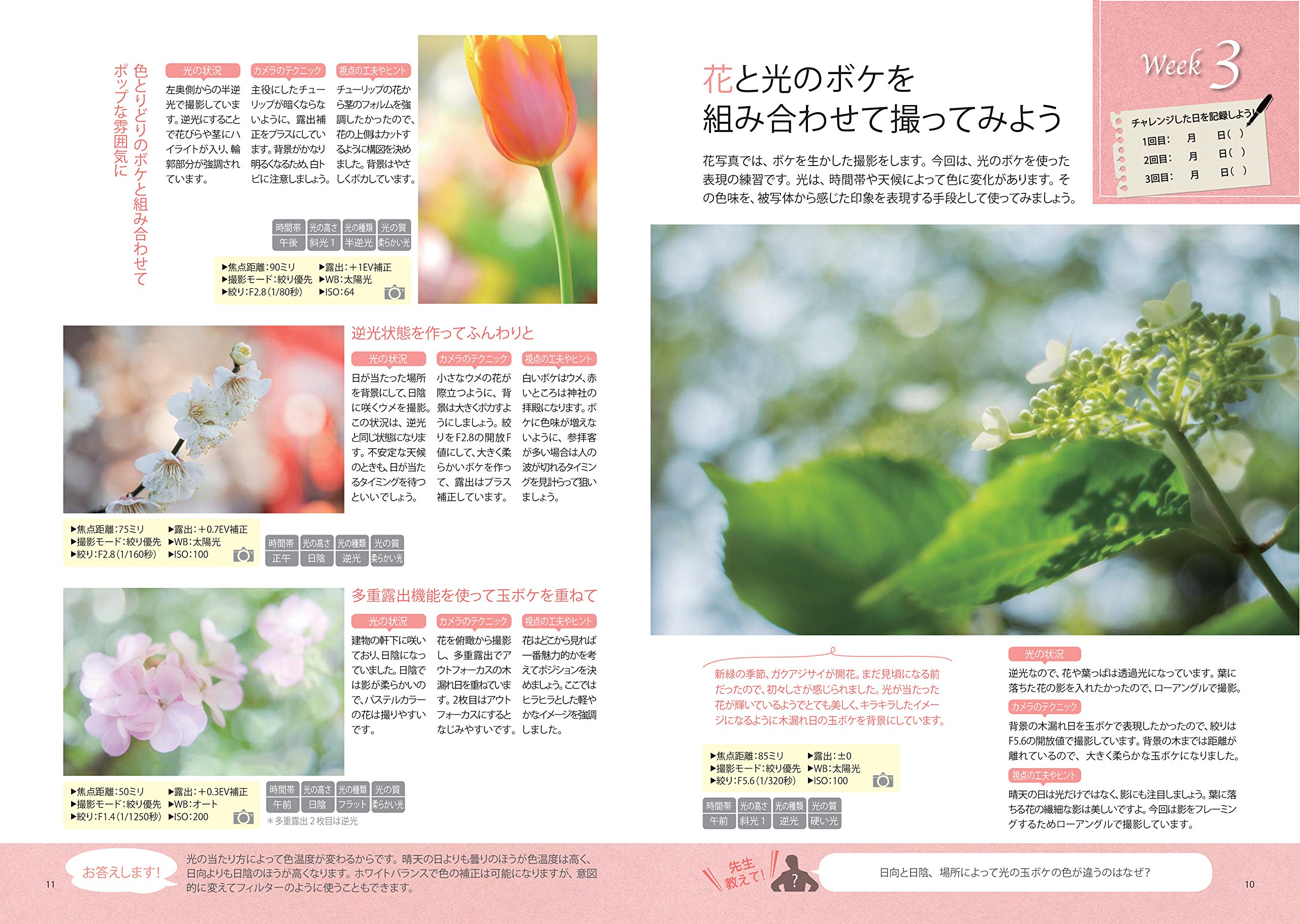 人気沸騰 すずちゃん先生の 写真の練習帳 写真が上手くなる52の宿題 を2冊セットで 634ebf8b 数々の賞を受賞 Feb Ulb Ac Id