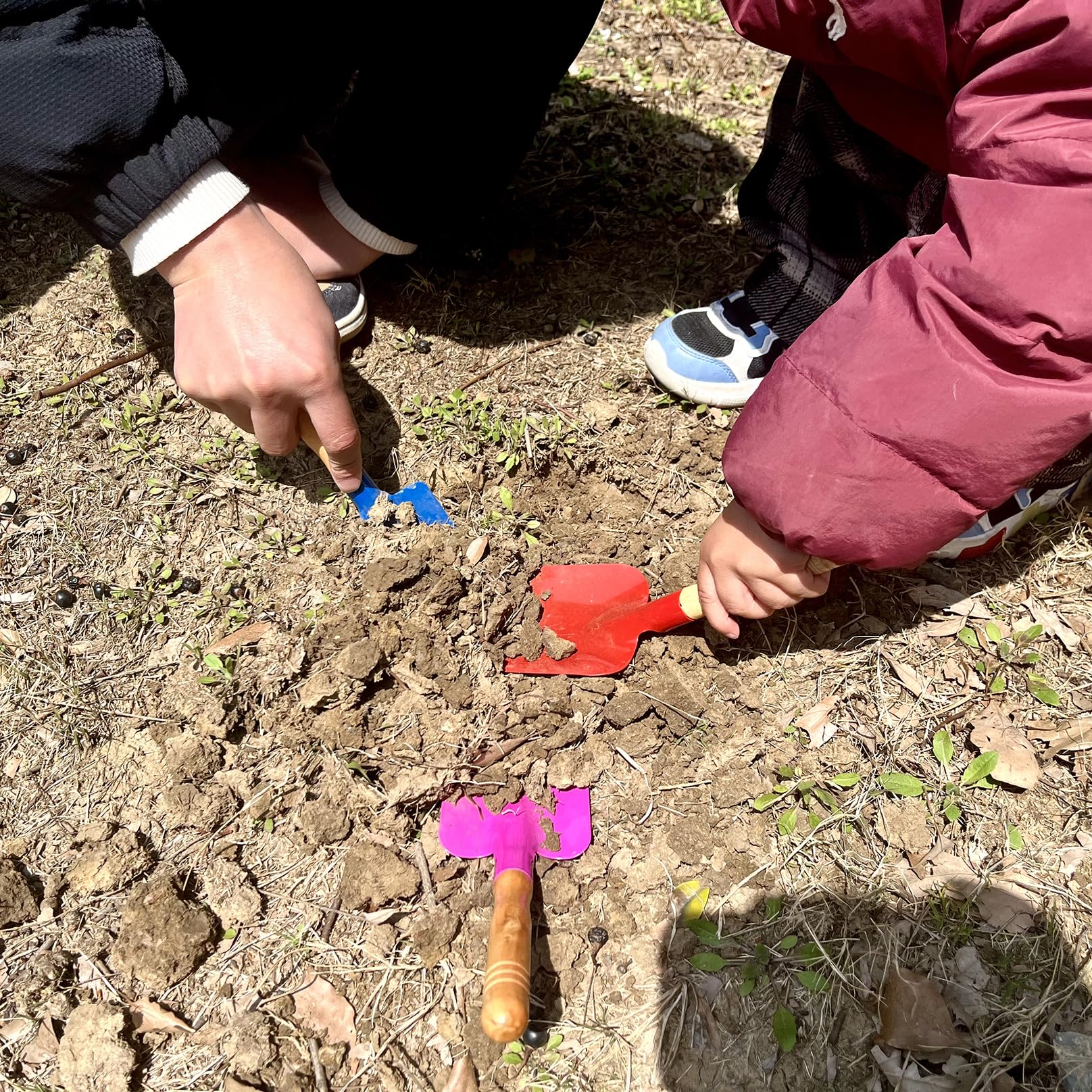 Kids Gardening Tools Set, 5PCS Gardening Tools for Kids Metal with Sturdy Wooden Handle Safe Gardening Tools 8