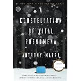 A Constellation of Vital Phenomena: A Novel