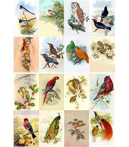 ARPAN Grand Album Photo Autocollant 20/40 Feuilles/coté X 1 (Style