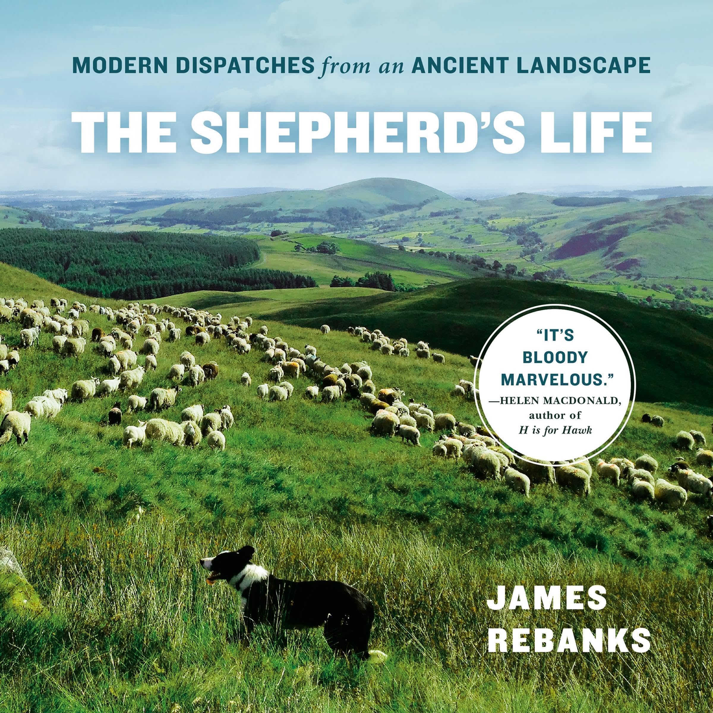 The Shepherd's Life: Modern Dispatches from an