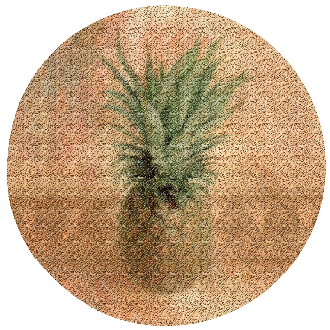 Thirstystone Pineapple Cork Coaster Set