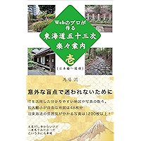 The Guidebook of Tokaido Road by a Web Professional: To Avoid being unexpected lost (Japanese Edition) book cover
