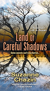 Land of Careful Shadows (A Jimmy Vega Mystery)