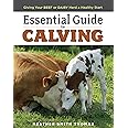 Essential Guide to Calving: Giving Your Beef or Dairy Herd a Healthy Start