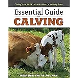 Essential Guide to Calving: Giving Your Beef or Dairy Herd a Healthy Start