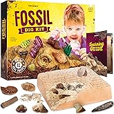 Real Fossil Dig Kit for Kids - Mega Science Kits for Boys & Girls Age 8-12 - Birthday Gift Ideas for 8, 9, 10, 11, 12 Year Ol