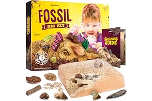 Real Fossil Dig Kit for Kids - Mega Science Kits for Boys & Girls Age 8-12 - Birthday Gift Ideas for 8, 9, 10, 11, 12 Year Ol