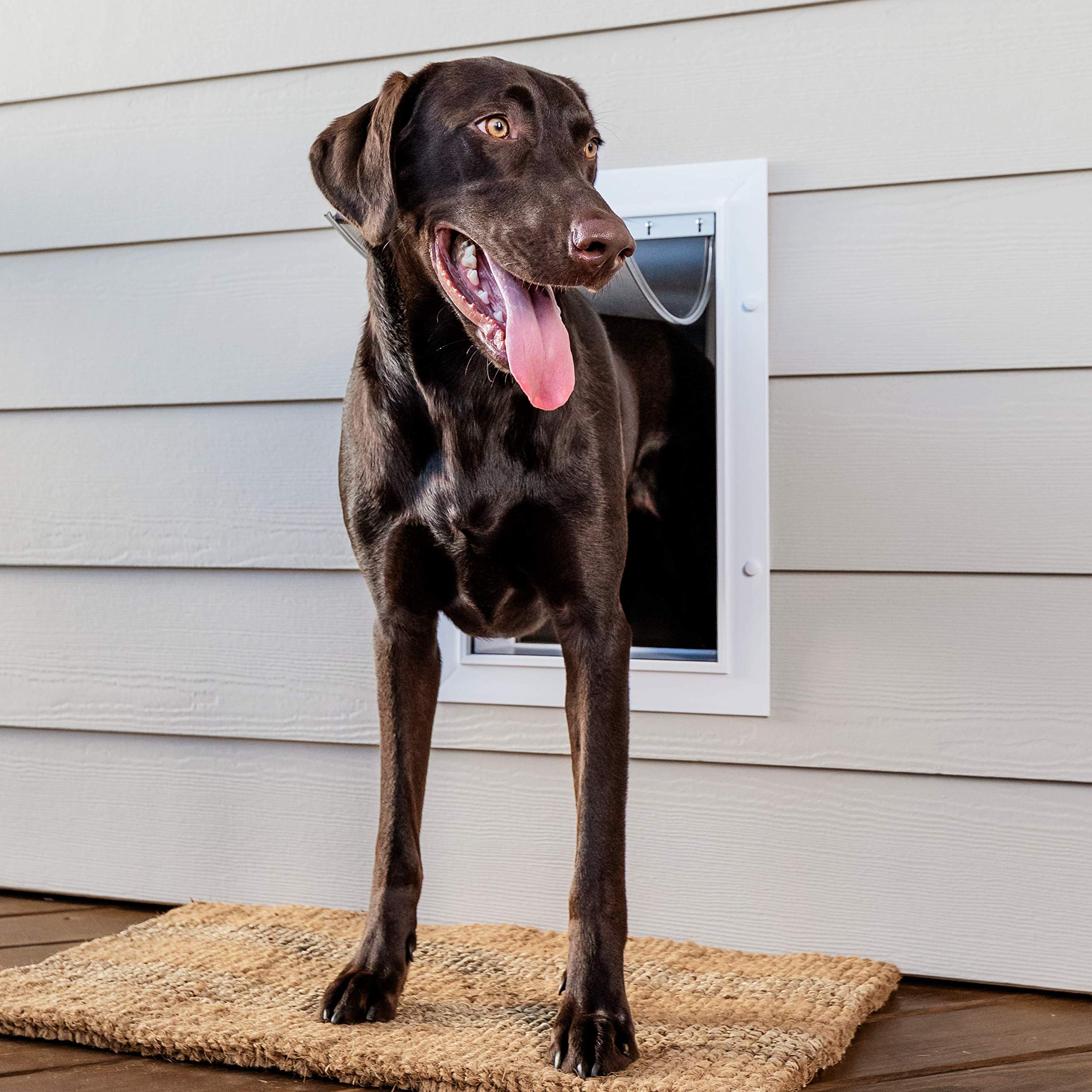 PetSafe Wall Entry Pet Door - Rust-Free Telescoping Frame - Easy Install for Interior & Exterior Walls 4 3/4