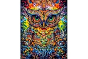 SYBDXJ 5D Diamond Art Painting Kits, Diamond Art Kits for Adults Kids, Full Drill Diamond Rhinestone Arts Craft Picture Embroidery Painting by Numbers for Home Wall Decor,11.8 x 15.75 inch (Owl)