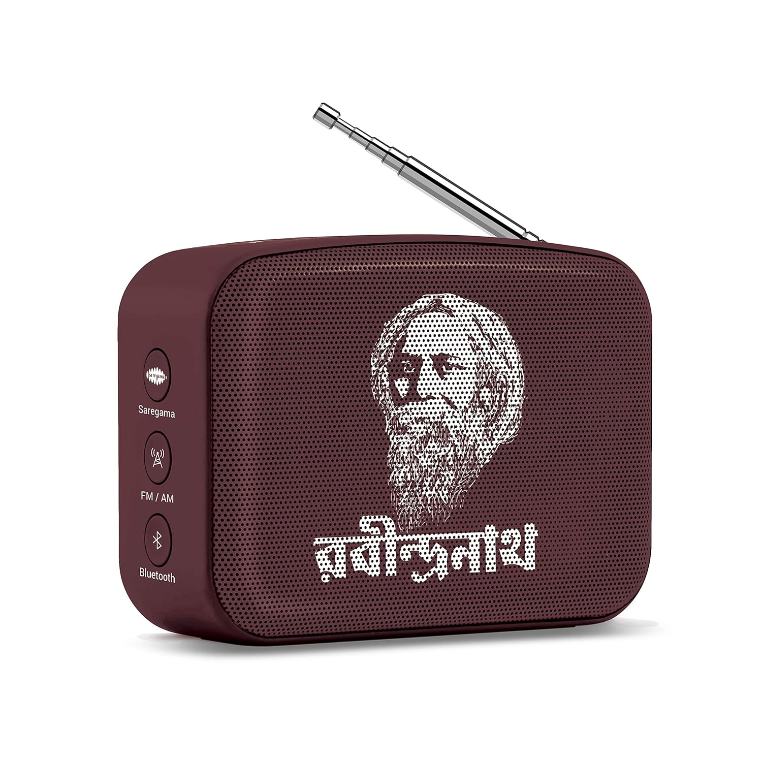 carvaan mini saregama