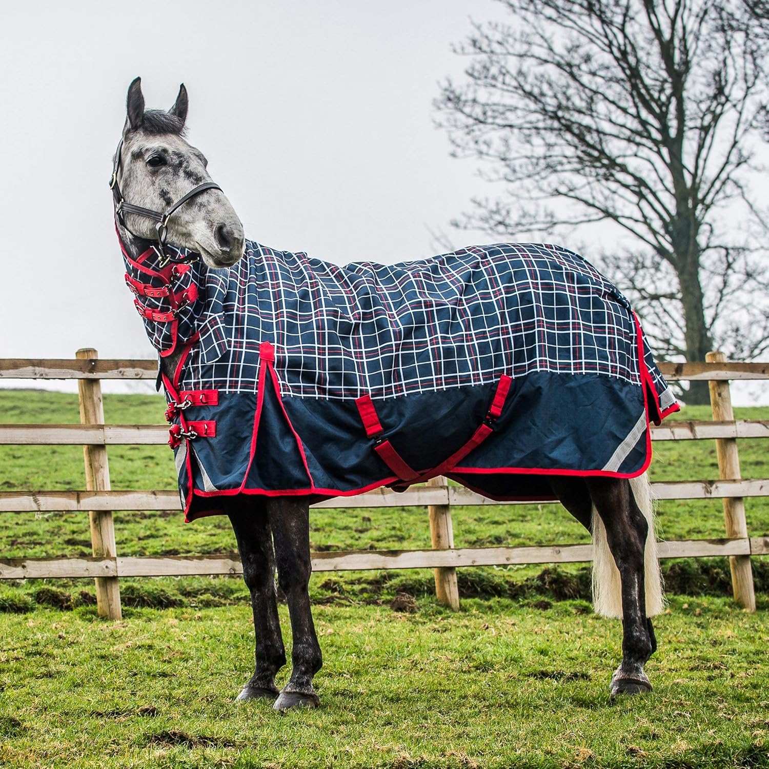 Derby House Elite Lightweight Checked Combo Turnout Rug Amazon.co.uk