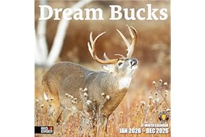 RED EMBER Dream Bucks 2026 Wall Calendar 12 Month | 12” x 24” Open | Thick & Sturdy Paper | Holiday Gift | Whitetail Deer Hunting Wildlife Animal Calendar 2026