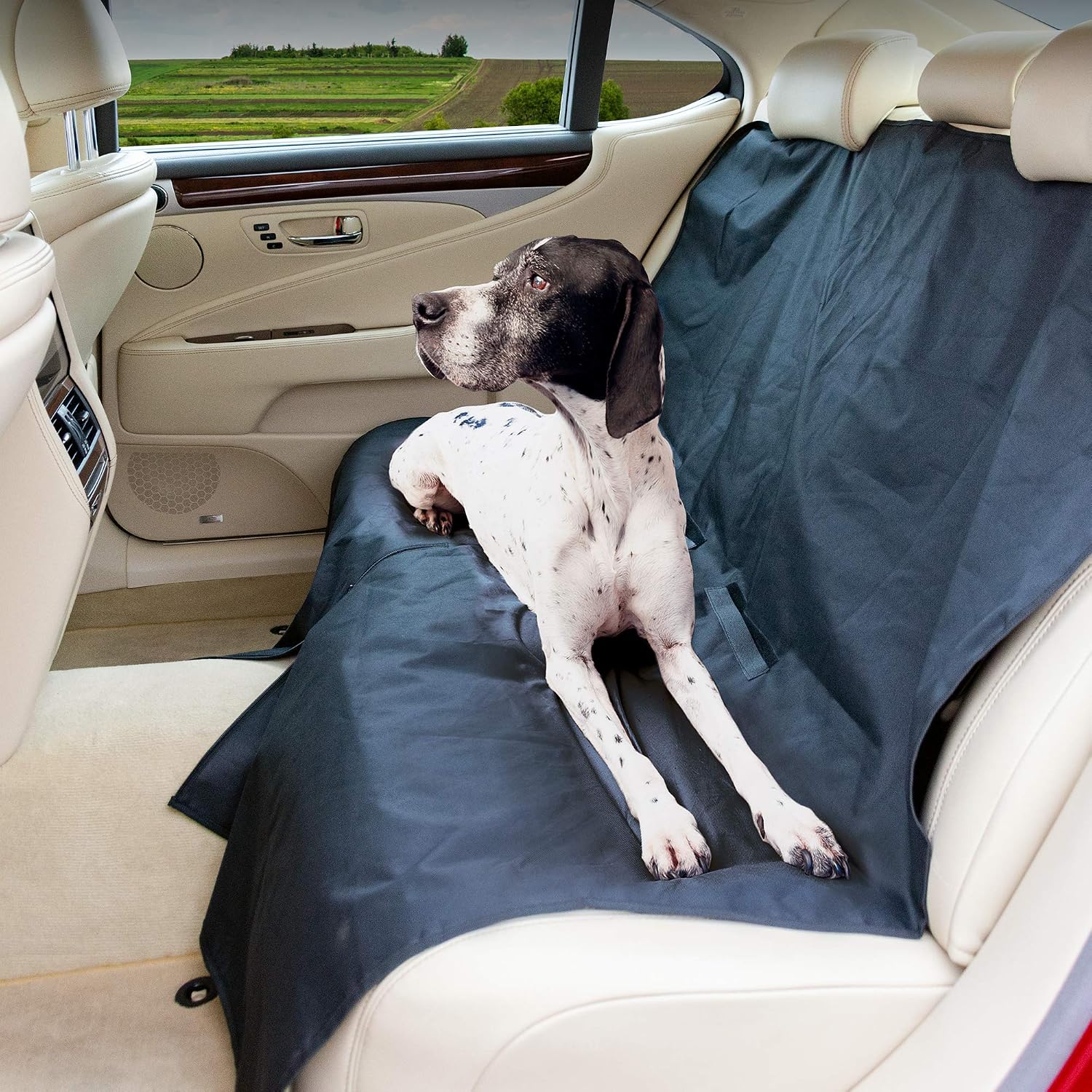 PawPride Car Seat Cover for Dogs Non-Slip Back Seat Cover for Dogs Machine-Washable Car Covers for Cars Back Seats with Seat Anchors for Pets and Kids - Image 3