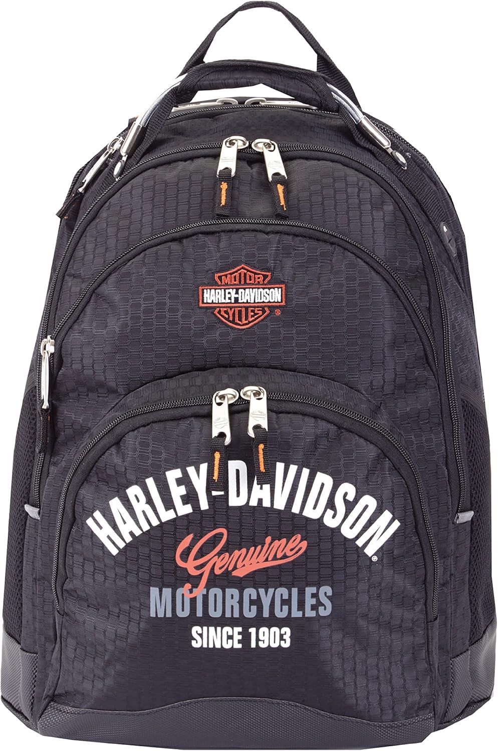 tail of the dragon harley davidson