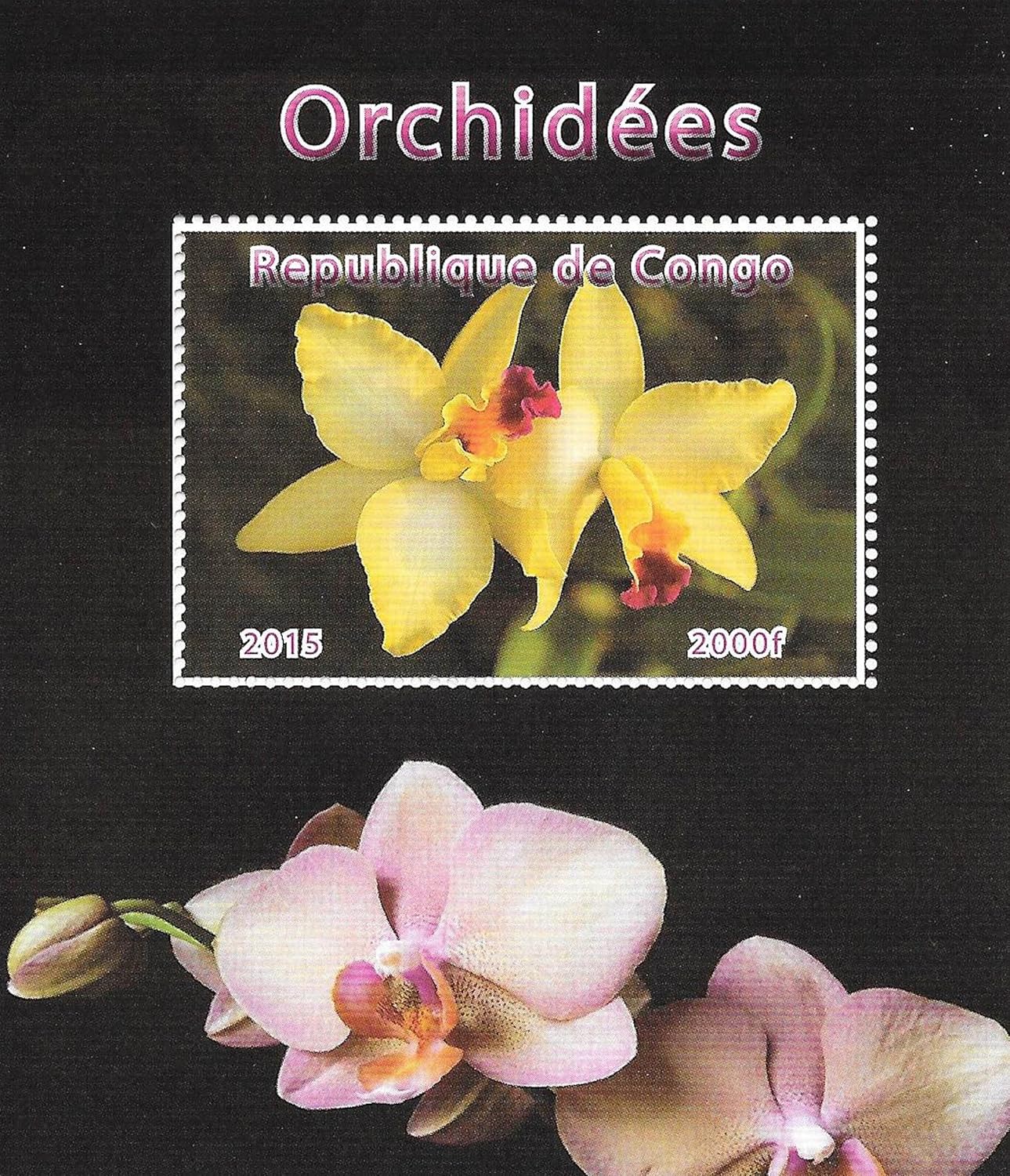 Prophila Collection Polonia 1612-1620 (Completa Edizione) MNH ** MNH 1965 Orchidee (Francobolli per i Collezionisti) Piante/Funghi
