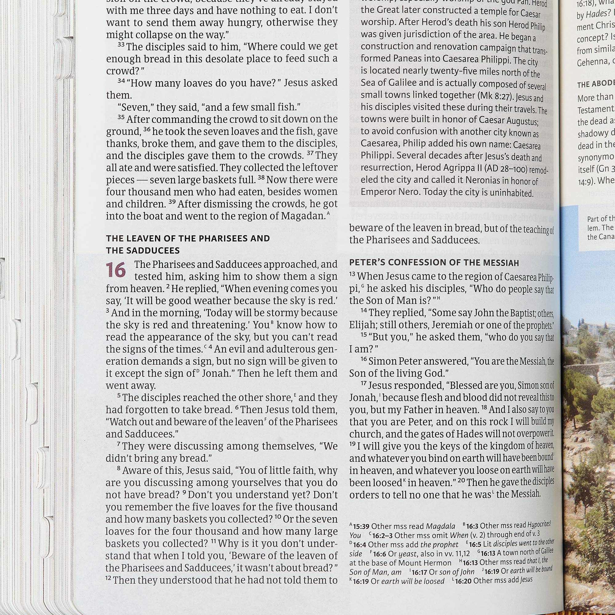 CSB Holy Land Illustrated Bible, Ginger LeatherTouch, Indexed, Black Letter, Full-Color Design, Articles, Photos, Illustrations, Easy-to-Read Bible Serif Type CSB Holy Land Illustrated Bible, Ginger LeatherTouch, Indexed, Black Letter, Full-Color Design, Articles, Photos, Illustrations, Easy-to-Read Bible Serif Type Imitation Leather