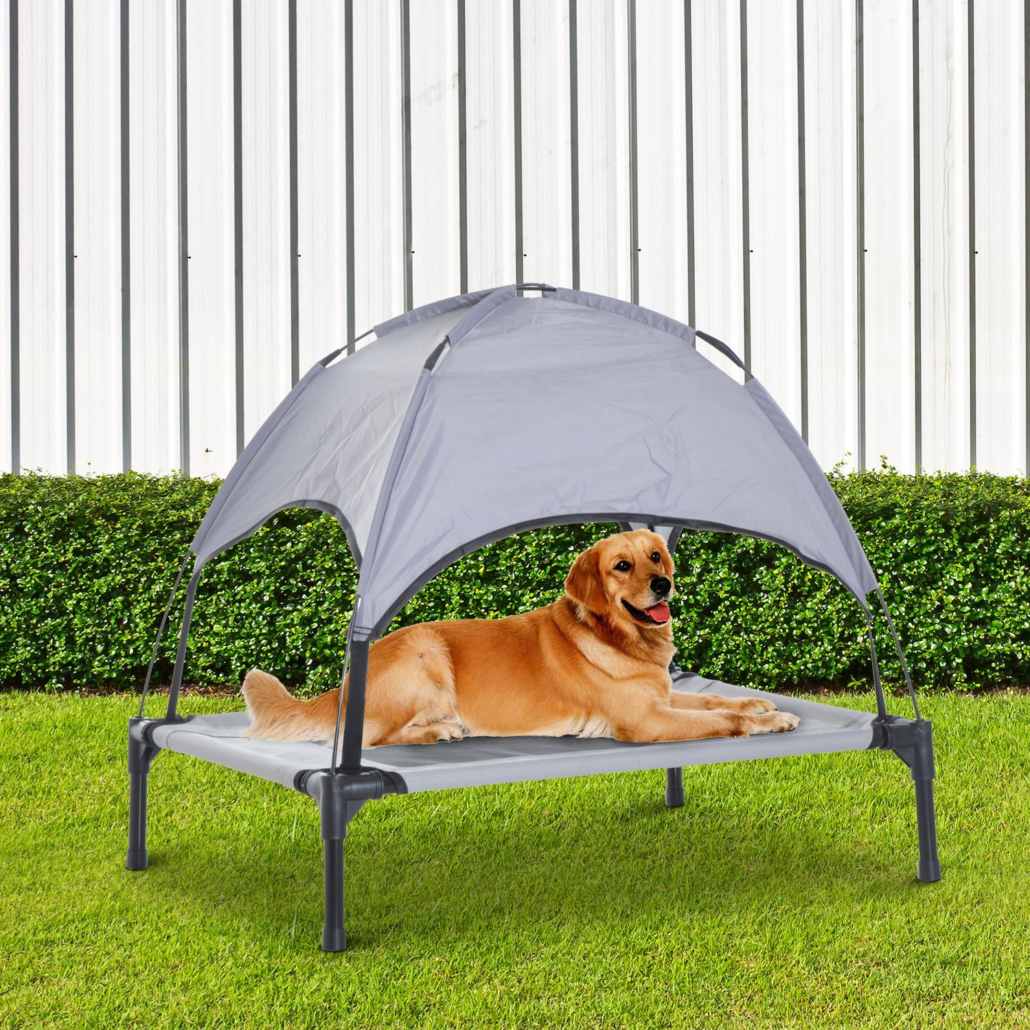 Best Raised Garden Bed For Pets