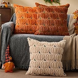 DFXSZ Fall Pillow Covers 18x18 Set of 2 Fall