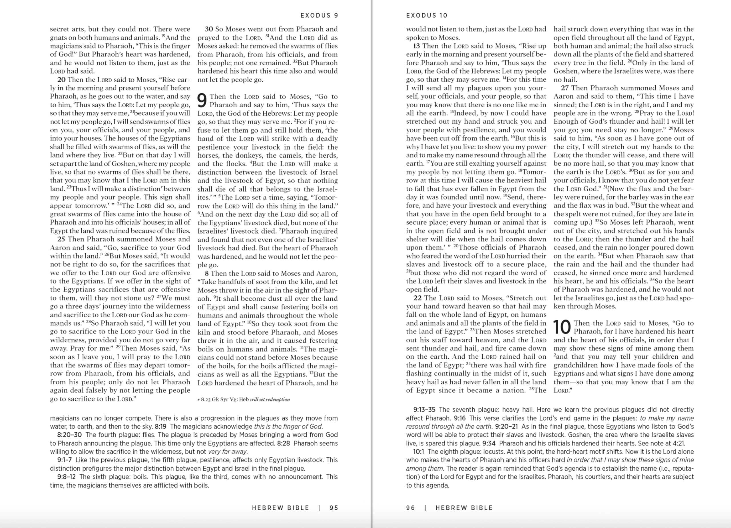 The Westminster Study Bible: New Revised Standard Version Updated Edition with the Deuterocanonical/Apocryphal Books