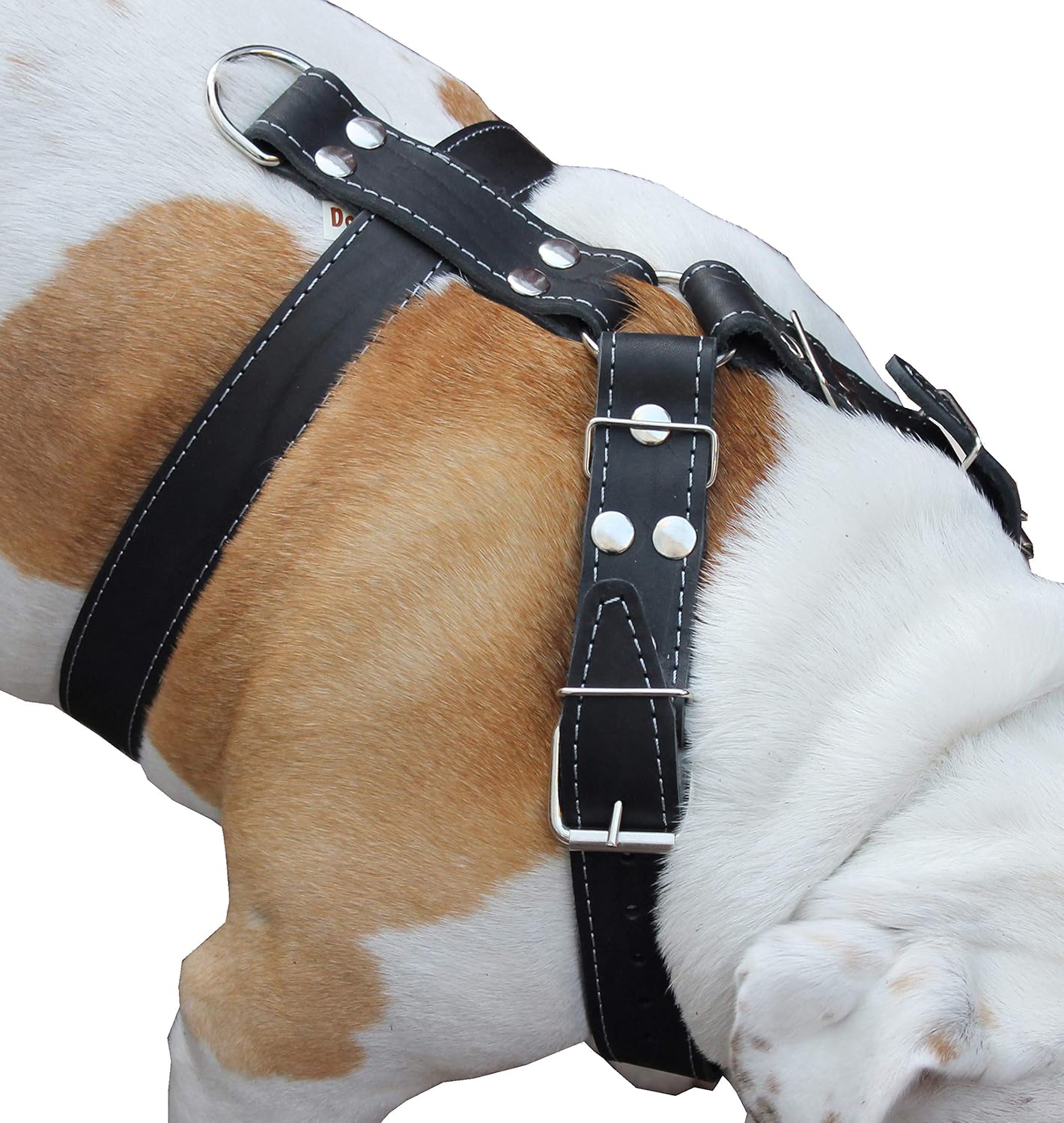 dog harnesses for pitbulls