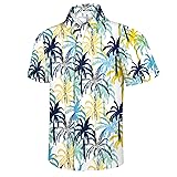 Hawaiian Shirt for Men, Beach Shirts for Mens