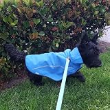Mile High Life Dog Raincoat Adjustable Waterproof Reflective XXS Blue view 8