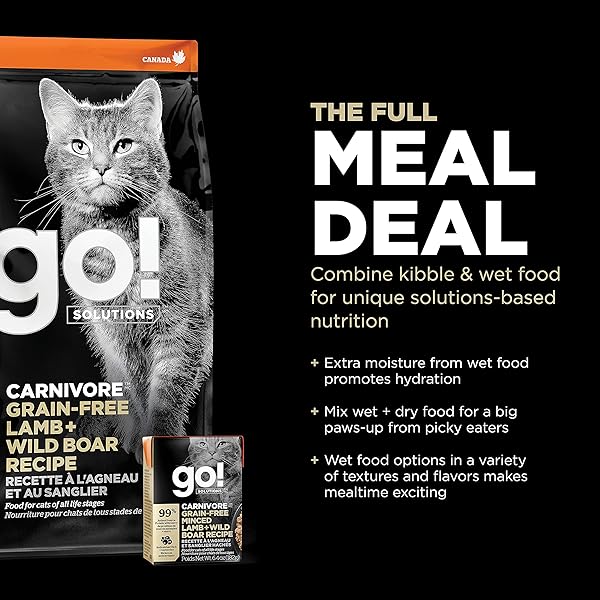 GO! SOLUTIONS CARNIVORE GRAIN FREE DRY CAT FOOD, 16 LB – LAMB + WILD BOAR RECIPE – PROTEIN RICH DRY CAT FOOD – COMPLETE + BALANCED NUTRITION FOR ALL LIFE STAGES