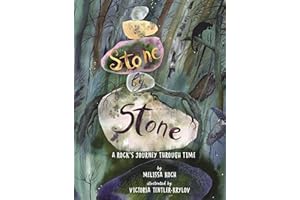 Stone by Stone: A Rock's Journey Through Time