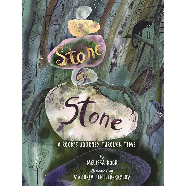 Amazon.com: STONE LEGENDS: THE TIME STONE: 9788197206498: Tony, Mr