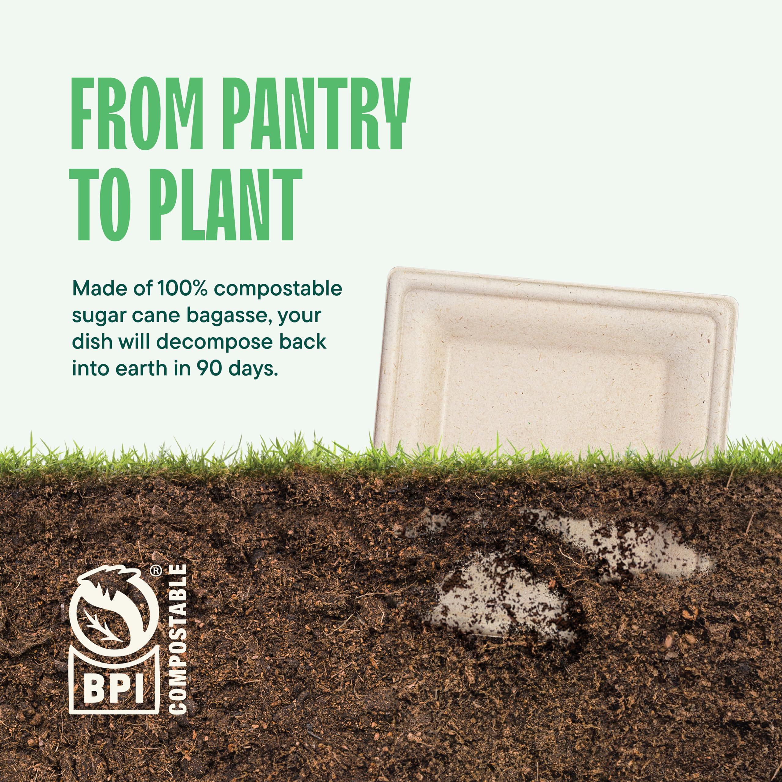 100% Compostable Square Paper Plates [50-Pack] - {PFAS-Free} - {BPI Certified} - [10 Inch] Heavy Duty, Eco-Friendly, Biodegradable Bagasse Dinner Plates - Natural Brown 10