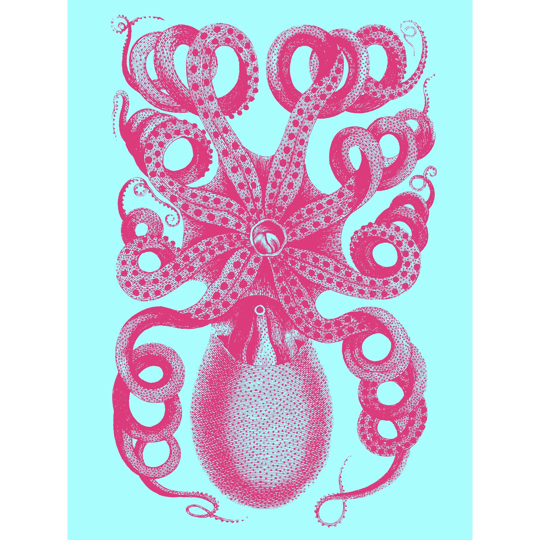Wee Blue Coo Pink Octopus Blue Large Wall Art Print Canvas Premium Poster