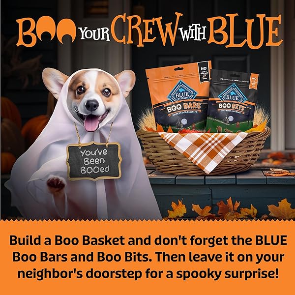BLUE BUFFALO BOO BARS CRUNCHY DOG BISCUITS, NATURAL HALLOWEEN-SHAPED TREATS, PUMPKIN & CINNAMON RECIPE, 11-OZ BAG